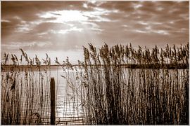 Sneekermeer van Haaije Bruinsma Fotografie