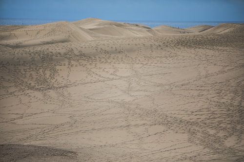 duinen van Maspalomas op Gran canaria