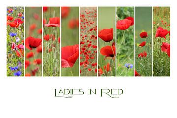 Ladies in Red by Yvonne Blokland