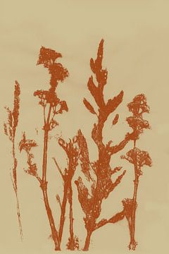 Pastell Botanicals. Gedruckte Pflanze. Wiesenblumen in Terra. von Dina Dankers