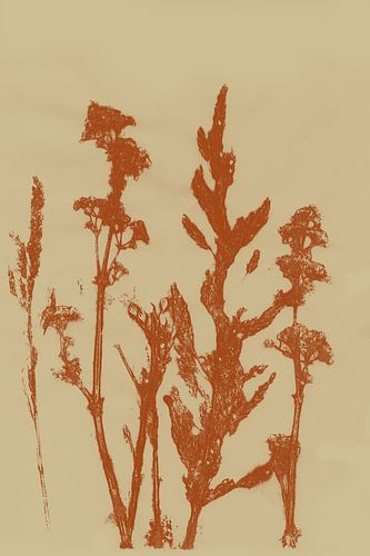 Pastel Botanicals. Gedrukte plant. Weidebloemen in terra.