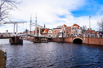 Haarlem by Brian Morgan