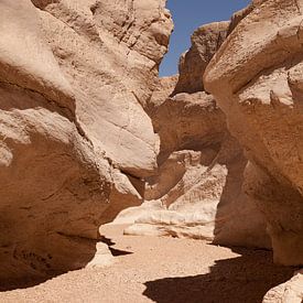 Wüste Negev von Celine Dhont