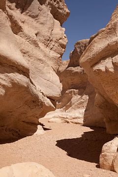 Negev desert by Celine Dhont