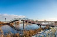 Pont de grenouilles sur l'Ammersche Boezem, Ottoland par Ruud Morijn Aperçu