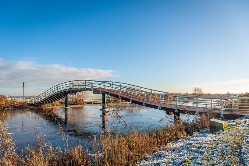 Pont de grenouilles sur l'Ammersche Boezem, Ottoland par Ruud Morijn