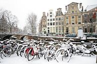 Radfahren im Schnee in Amsterdam Niederlande von Eye on You Miniaturansicht