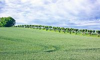 Landschap in Mecklenburg