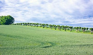 Landschap in Mecklenburg
