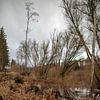 Herfstlandschap van t.ART