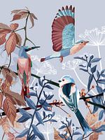 Winter birds