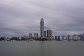 Rotterdam, Zalmhaventoren gezien over de Nieuwe Maas