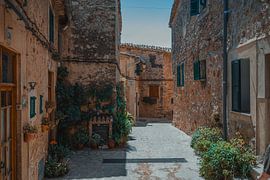 A leafy street in Valldemossa