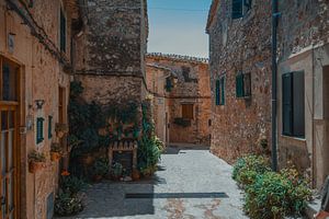 Een groen straatje in Valldemossa