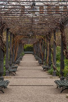 Giardini Reali van Franksfotoforum