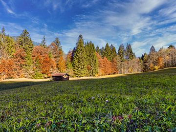 Oberbayerische Bergwiese im Herbstgewand von Christina Bauer Photos
