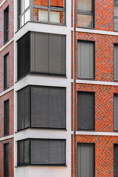 Contrasterende gevels van moderne architectuur van Mixed media vector arts