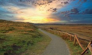 Texel.