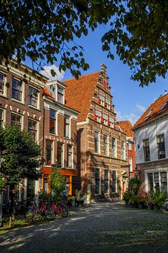 Rembrandt in Leiden by Dirk van Egmond