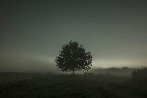 Nuit brumeuse, nuit de brouillard