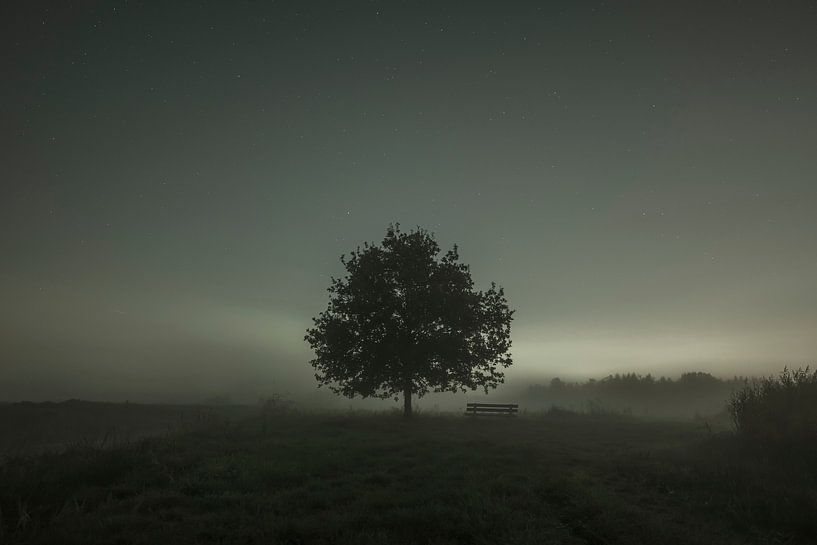 Misty night, mistige nacht van Corrine Ponsen