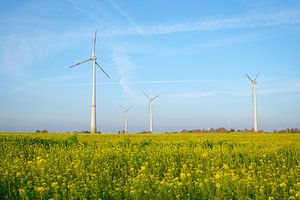 Windmühlen auf dem Feld