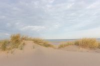 Duinen