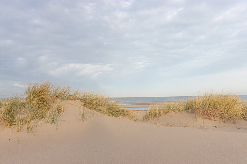 Dunes by Marjolein Albregtse