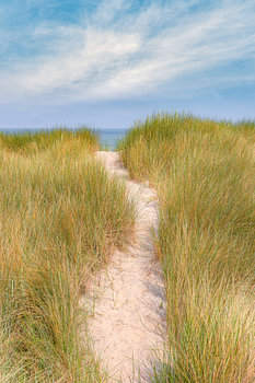 Path through the dunes