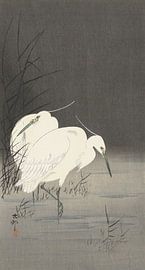 Deux aigrettes dans les roseaux de Ohara Koson