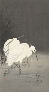 Zwei Reiher im Schilf von Ohara Koson
