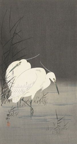 Deux aigrettes dans les roseaux de Ohara Koson