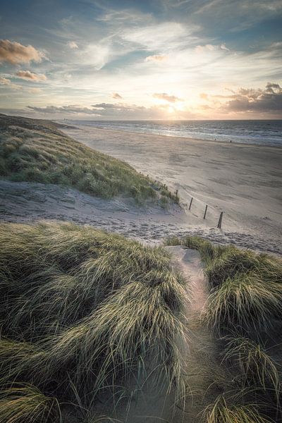 Dünen, Strand und Meer an der niederländischen Küste von Dirk van Egmond