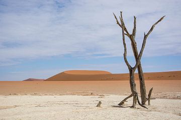 Deadvlei Namibia by Romy Oomen