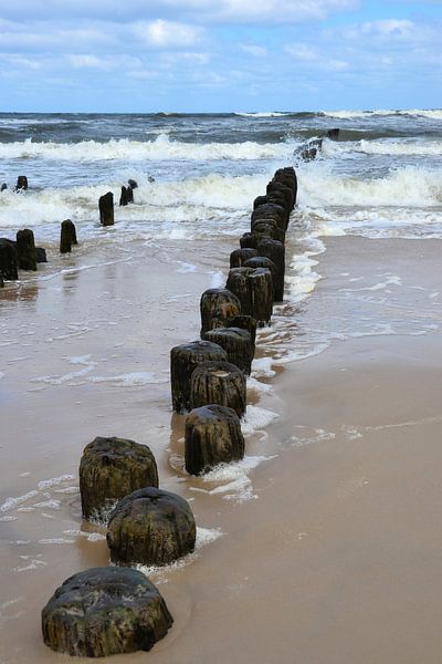 Breakwater on the beach of the Baltic Sea by Heiko Kueverling