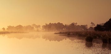 Strabrechtse Heide 227 van Deshamer