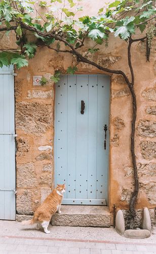 De kat en de deur: een zuid-Europees stilleven