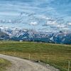 Alpe de Siusi / Tyrol du Sud sur Götz Gringmuth-Dallmer Photography