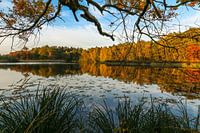 Lake with autumn colours