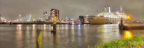 in Rotterdam uitzicht op luxe cruise-schepen.