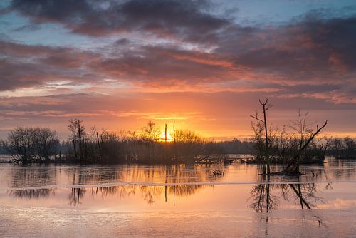 Zonsondergang in Nationaal Park de Alde Feanen in Eernewoude van Taede Smedes