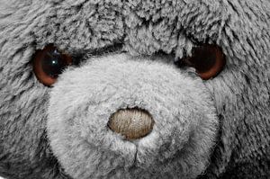 Knuffel me!