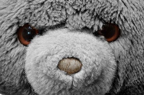 fais-moi un câlin !