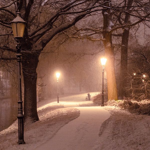 Vergessener Winter von Tvurk Photography