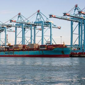 Containerschiffe auf der Maasvlakte von scheepskijkerhavenfotografie