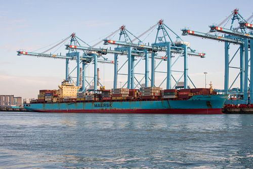 Containerschepen op de Maasvlakte