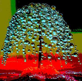 Bubbles von Bernd Georg Schwemmle