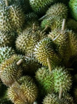 Durian - koning van de vruchten