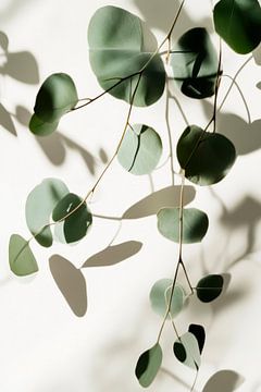 Schaduwspel van bladeren