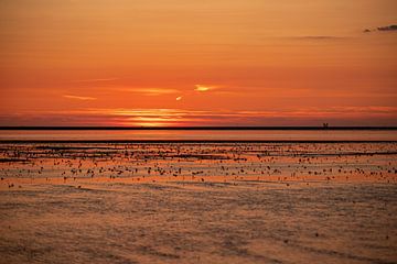 Zon achter wolken op het strand van Westerheversand van Alexander Wolff